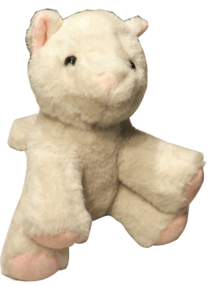 white cat